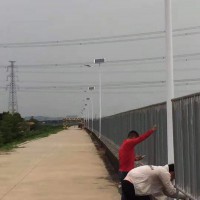 特色太阳能路灯安装