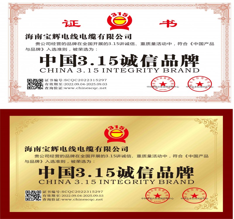 海南宝辉电线电缆有限公司资质文件-11