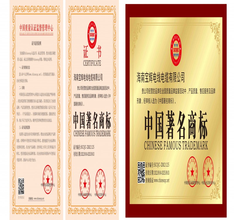 海南宝辉电线电缆有限公司资质文件-8