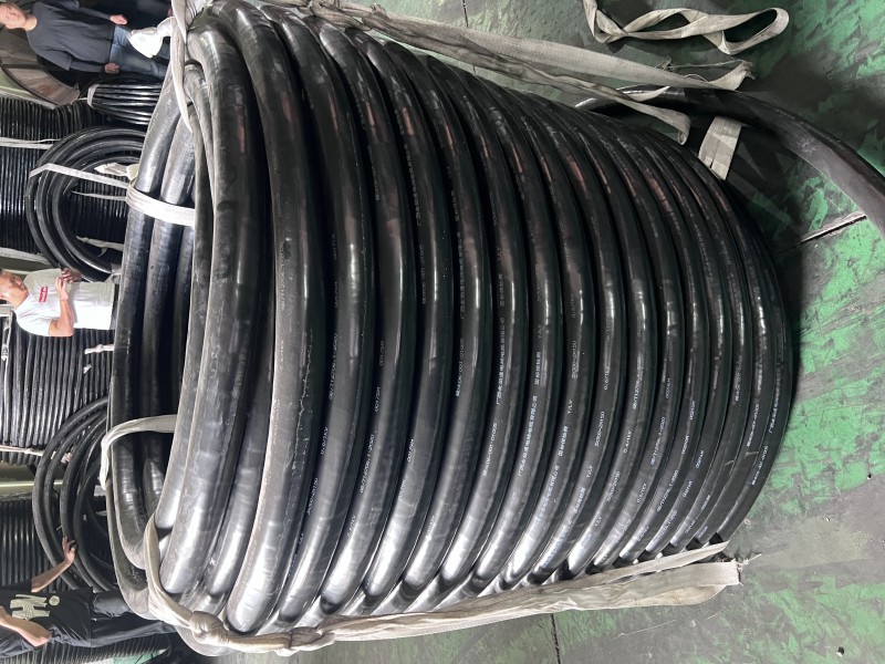 微信图片_20251218210022