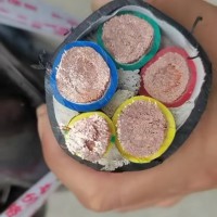 椰缆电缆