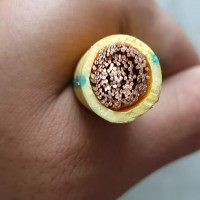 椰缆电缆