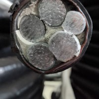 椰缆电缆