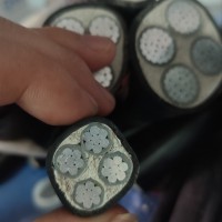 椰缆电缆